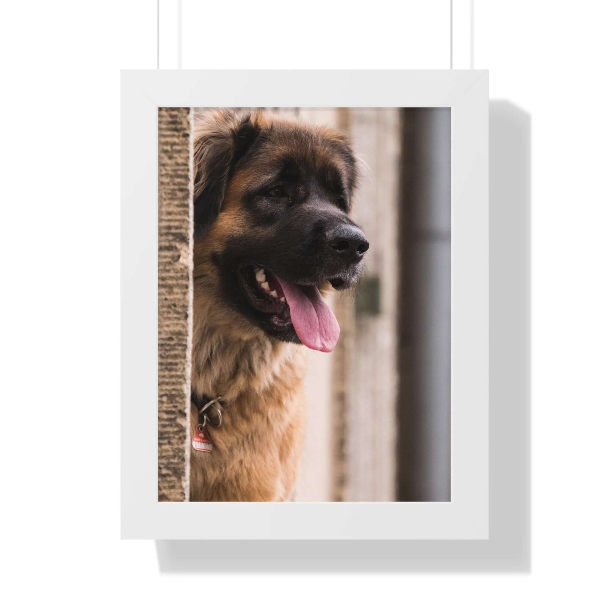 personalised dog photo frame