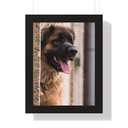 dog picture frames